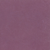 Newport Purpura
