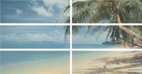 Paradise - 6 части 20*60см