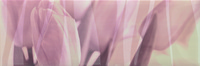 Decor Sensuelle Rose 20*60см