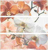 Decor Set Hawai Rojo - 3 части 20*60см