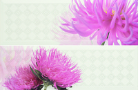 Decor Pasione Blanco - 2 части 20*60см