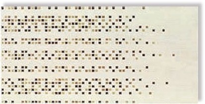 Decor Soneto 2 20*40см
