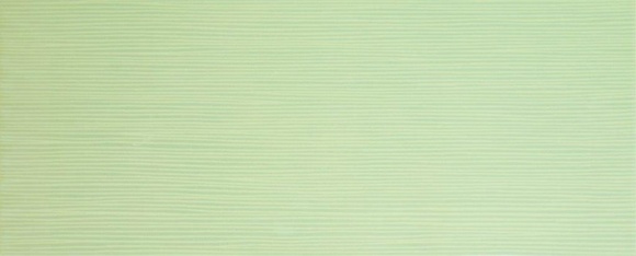 Glitter Pistacho 20*50см