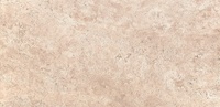 Monticello Beige 25*50см